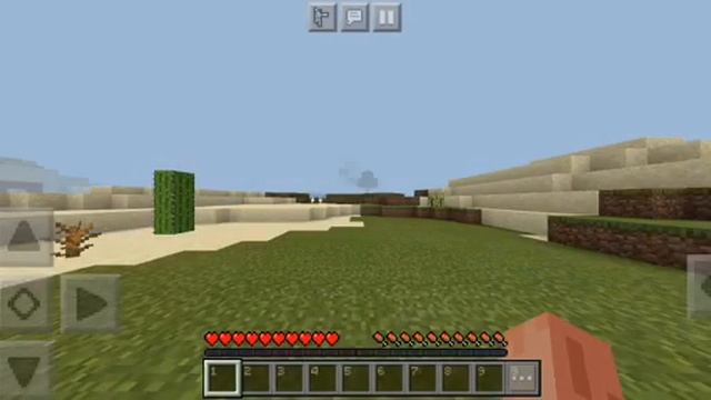 Getting An Enchanted Golden Apple On A Random Seed Using A Phone (20 Seconds)