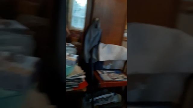 24 часа на кухне у кота Малыша