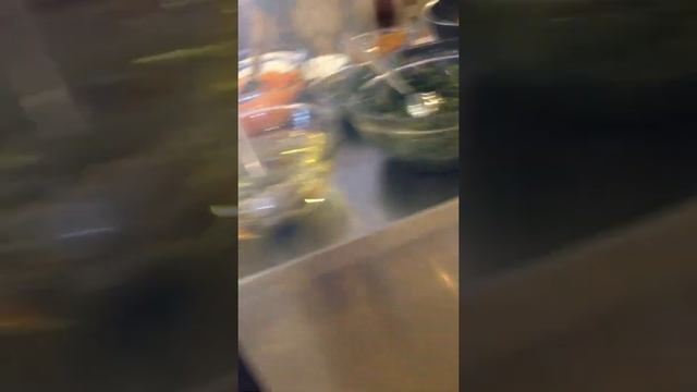 Utopia обед перед отъездом