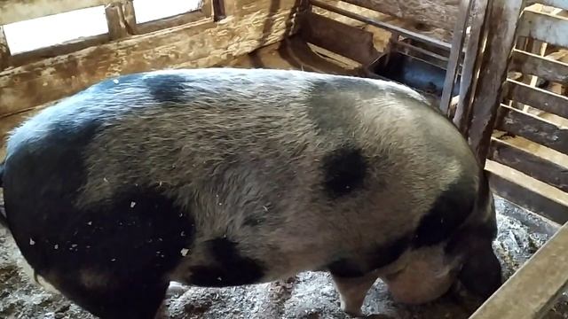 ПЕРЕПЛАНИРОВКА КВАРТИРЫ