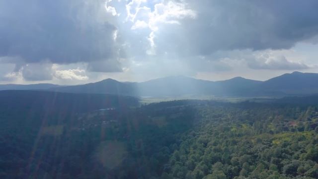 - Ты должна отдать сестре свою квартиру, смотри какие у тебя хоромы, а у нее дети и муж, а ты одна