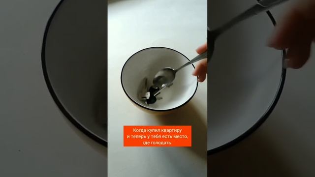 Зато своя квартира  #юмор #недвижимость #тверь #ипотека
