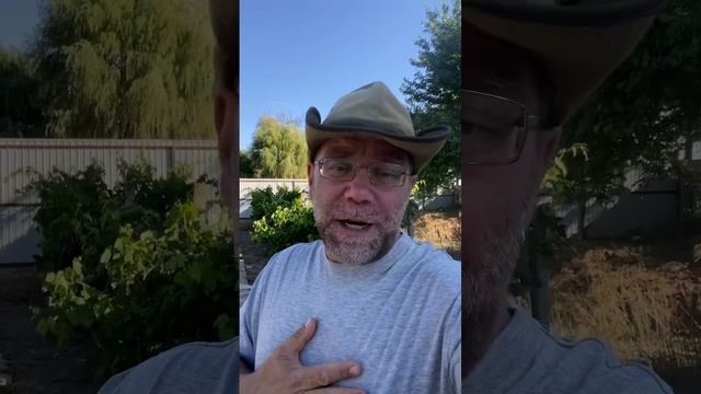 Доброго утра из Крыма | подбор домов в Крыму