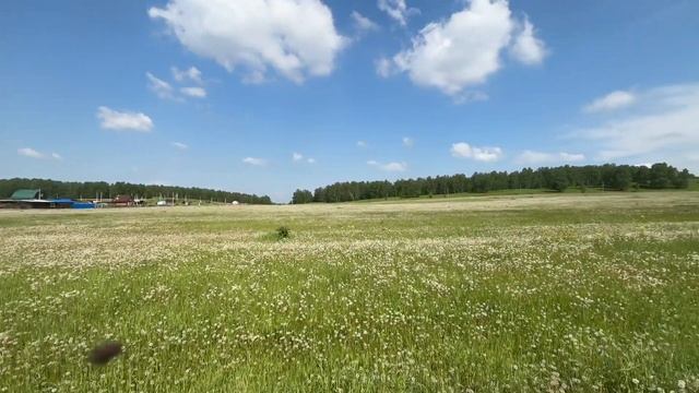 г. Прокопьевск,р-н Сафоново, уч. 42:10:0304009:1733