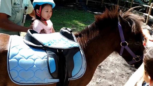 Asyik Aqilla Naik Kuda Pony Di Taman Safari Bali 😄 Bermain Dan Kasih Makan Kelinci Kambing
