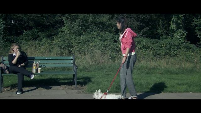 WW2 2.4 Speaking - How S Life