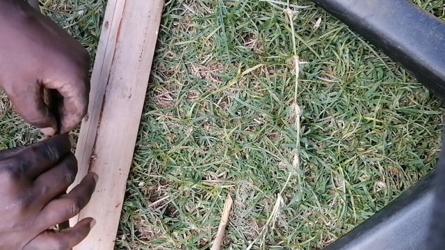 Day 1: Creating A Multistory Garden - Gaga Garden Safari With African Master