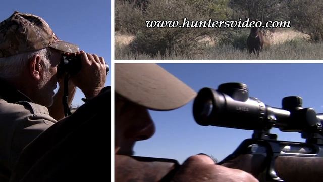 Safari Adventure Namibia 2 - Hunters Video
