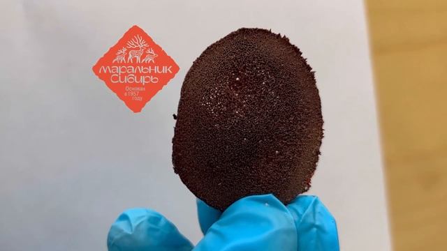 Открывай новые горизонты