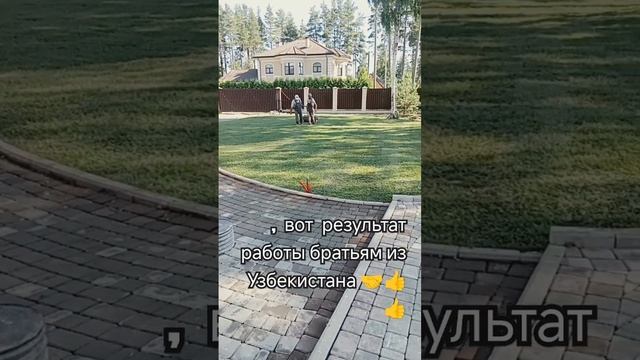 оцените результат лайками и комен #россия #санктпетербург #constr #строительство # газон#узбекистан