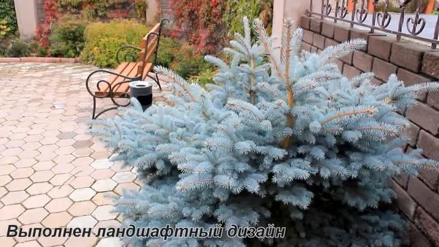 Be8c998932b4539361716c524f59eadf