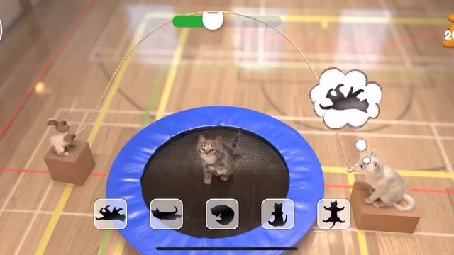 Little Kitten Adventure Games Care For Your Pet Kitty! Meow! #525