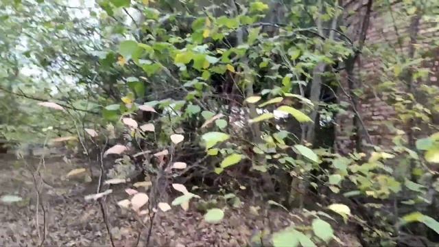 ЗАВОД ЖБК 3 часть.