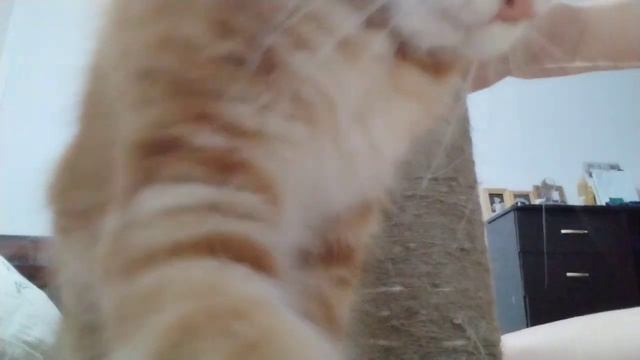 Af4db9eafb51999abbe02fd5f7e329fd