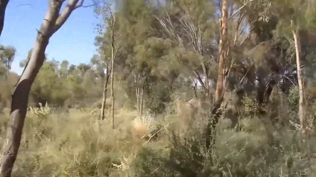 Scott Pullyblanck Provides An Over View Of The Alice Springs Desert Park