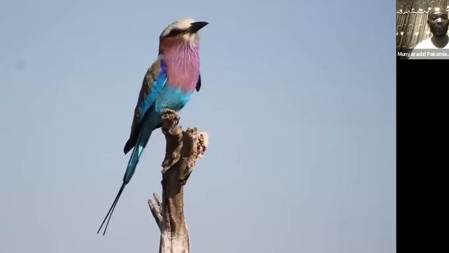 An African Safari Through Hwange National Park With Munya - Brought To You By Girl Travel Tours