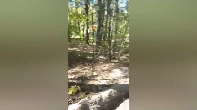 Строительство в селе Смородино