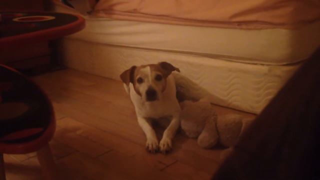 Mama Reading Lincoln 