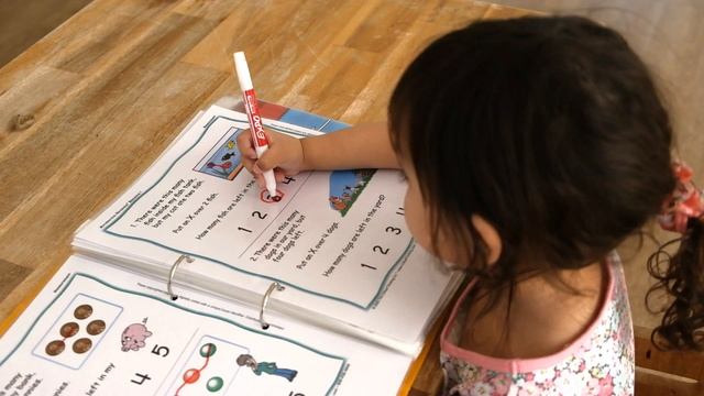 Mathematical Reasoning By Critical Thinking Co. || Homeschool Math Curriculum REVIEW