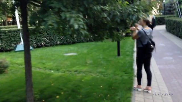 3a69356278ddd549fb328ba2b956b0e9