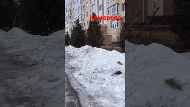 Человейники