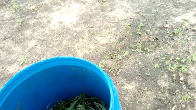 Ваши сотки. Выпуск №1.