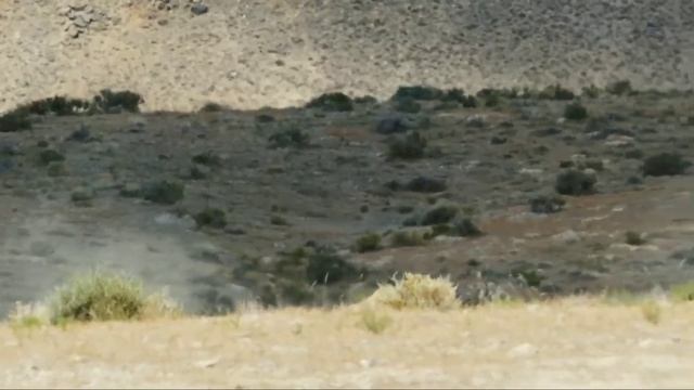 4K African Wildlife                                        #wildlife #safari#4k