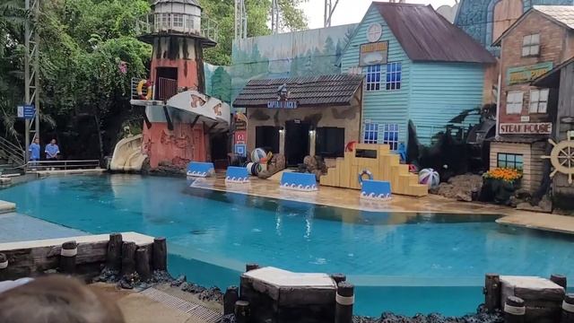 Thawj Zaug Hauv Lub Neej Tau Mus Ua Si Safari World Thaib Teb Saib Tsiaj Lom Zem Kawg Li