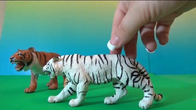 Schleich Safari Toys Lions Tigers Cheetah My Entire Collection Of Cats Animals ZOO