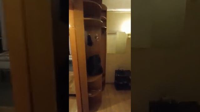 Аренда 1ккв. Новоизмайловский пр. 49к.1