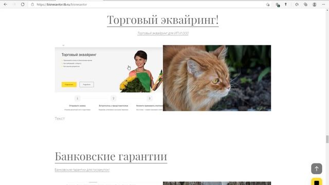Главная страница BISNESAVTOR и еще 1 страница — Личный  Microsoft Edge 2021 04 02 13 03 44