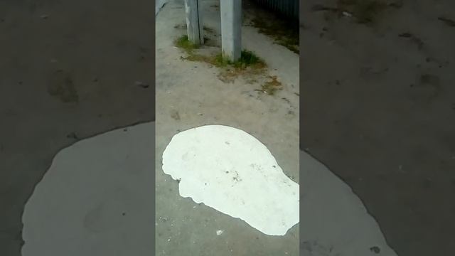 Ce3a282eef7f8843707b140a933d3f1e