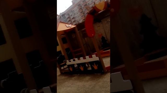 Инсити и гик
