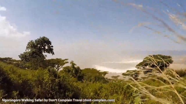 Ngorongoro Walking Safari By Dont-complain.com - Don't Complain Travel
