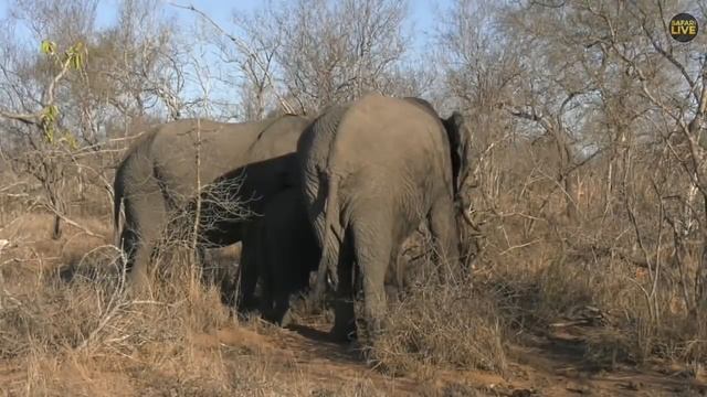 45c6ea610d9ed1961eedfe14a2302666