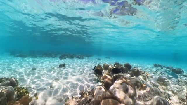 715f191bc40c34ff56a262f81b6faebb