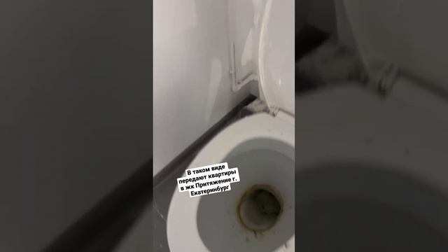 В таком виде передает квартиры застройщик в жк Притяжение #брикприемка #приемкаквартир