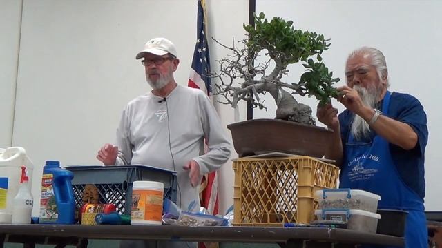 Al Nelson On California Oak Bonsai