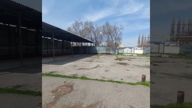 86fbcd1ee8de5291784522718615045a