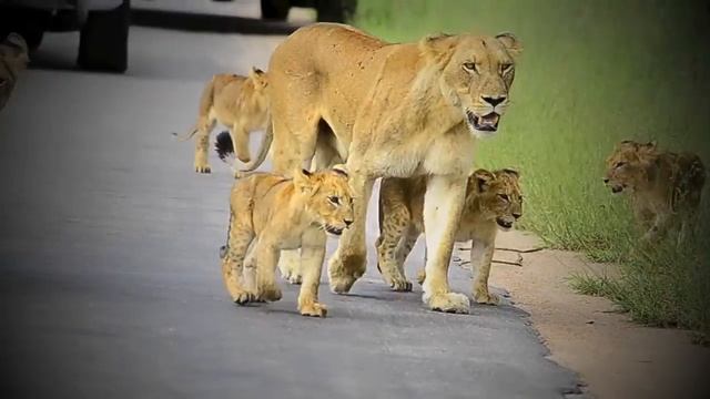 5d0f881364da3631b6055fb7f9b718f0