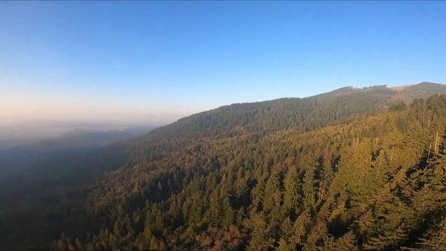 Solo 181 Pilot's Seat - October 12, 2022