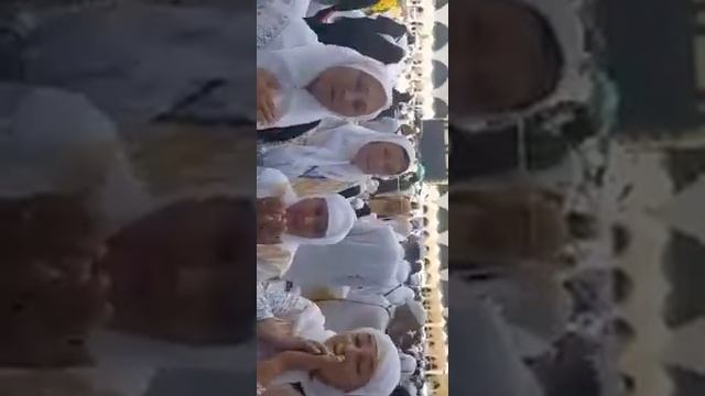 Хаж сафари 2019й