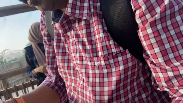 Dubai Safari Park Adventure 2023