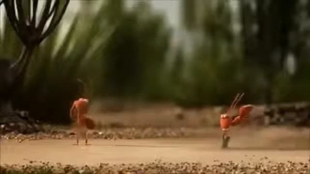 47d6260968c0284b55414e7dbea03d8c