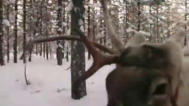 00bb460ca434d96e46e2f013af4ce46c