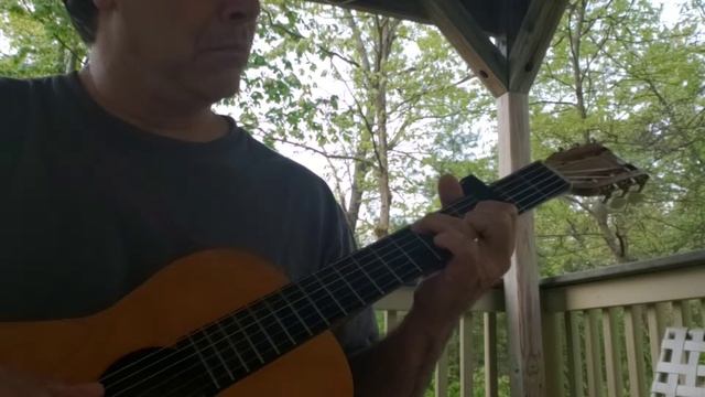 Constant Bloom by Moon Safari (Guitar Cover)