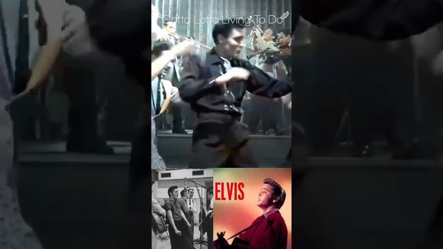Элвис #shorts