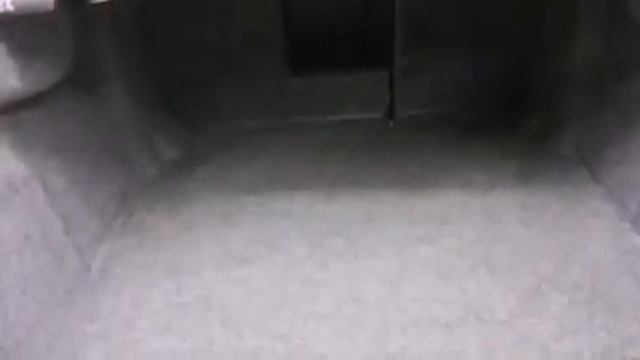 A9f22ee2d48509ccf6bde4097ce09850