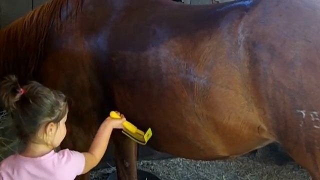 Crater After Bath 9-3-2012