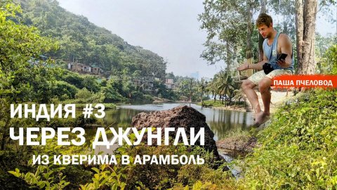 Пешком из одной деревни в другую через джунгли ГОА || Индия #3